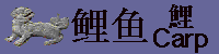 鲤鱼垃圾箱carp